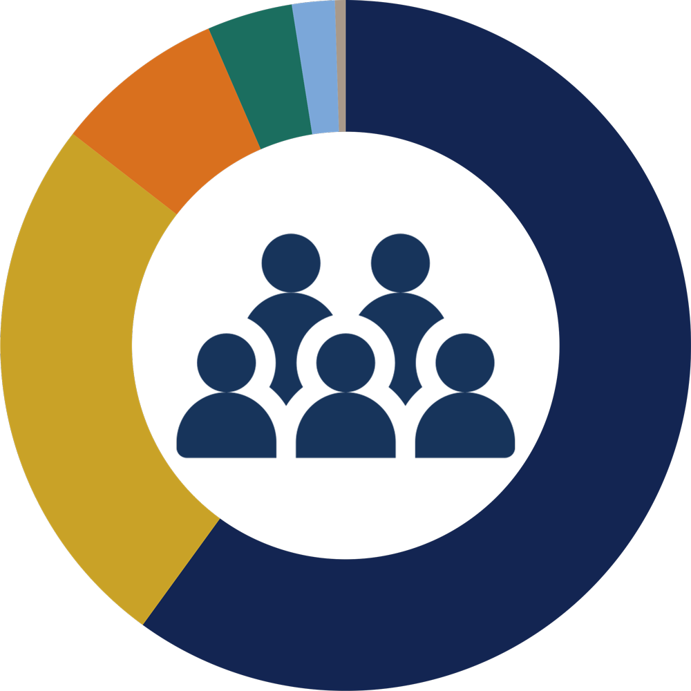 kipp_teacher_diversity_donut_ringonly